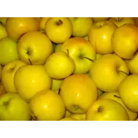 Яблоки Голден Делишес (Golden Delicious)